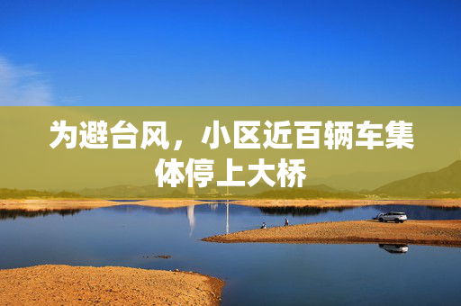 为避台风，小区近百辆车集体停上大桥