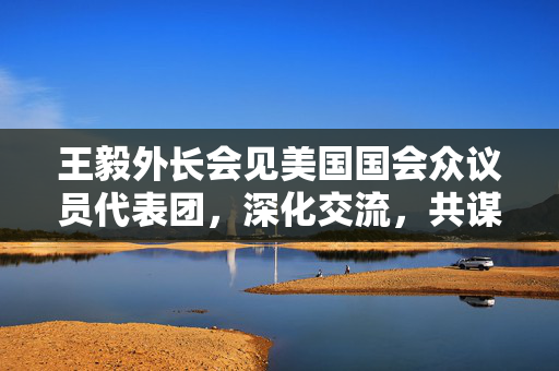 王毅外长会见美国国会众议员代表团，深化交流，共谋发展
