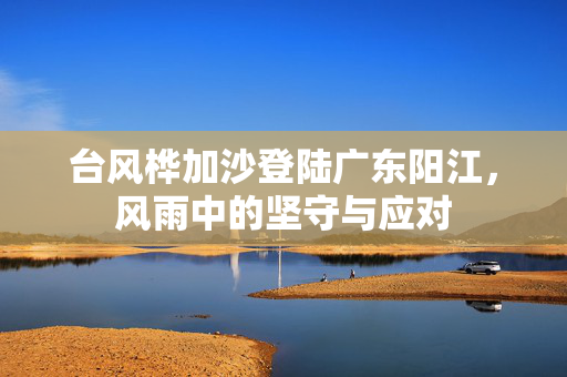 台风桦加沙登陆广东阳江，风雨中的坚守与应对