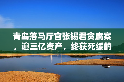 青岛落马厅官张锡君贪腐案，逾三亿资产，终获死缓的深刻反思