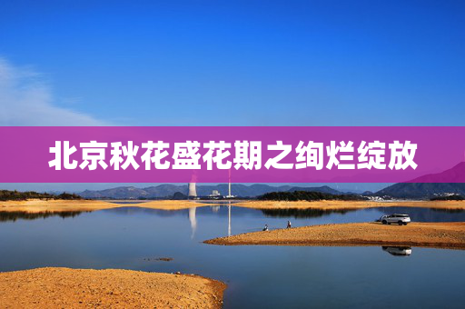 北京秋花盛花期之绚烂绽放