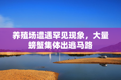 养殖场遭遇罕见现象，大量螃蟹集体出逃马路
