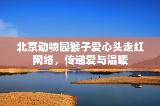 北京动物园猴子爱心头走红网络，传递爱与温暖