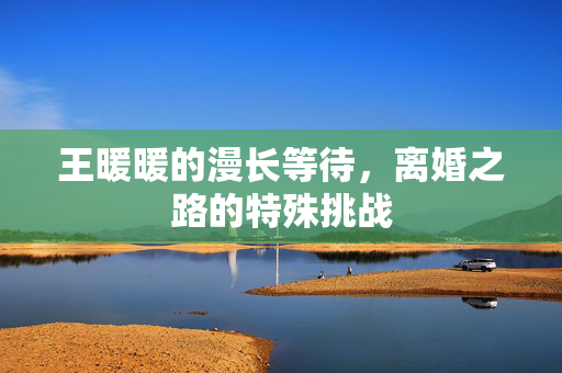 王暖暖的漫长等待，离婚之路的特殊挑战