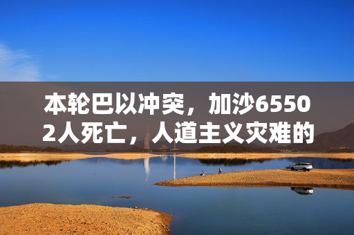 本轮巴以冲突，加沙65502人死亡，人道主义灾难的反思