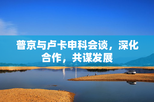 普京与卢卡申科会谈，深化合作，共谋发展