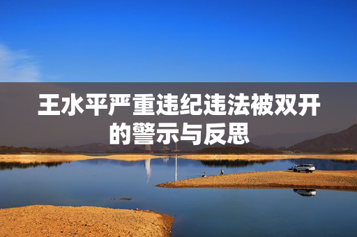 王水平严重违纪违法被双开的警示与反思