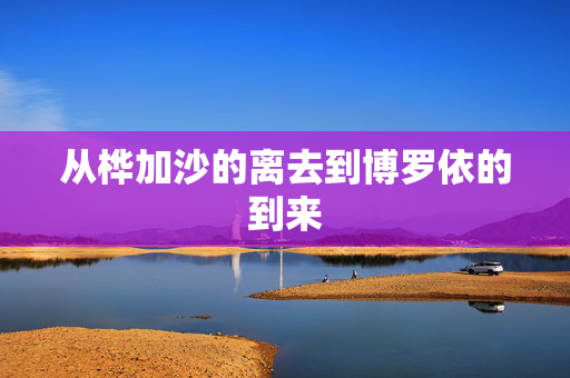 从桦加沙的离去到博罗依的到来