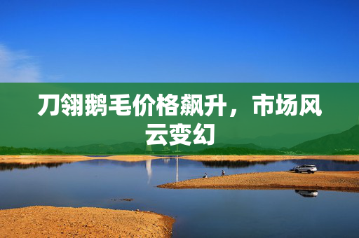 刀翎鹅毛价格飙升，市场风云变幻