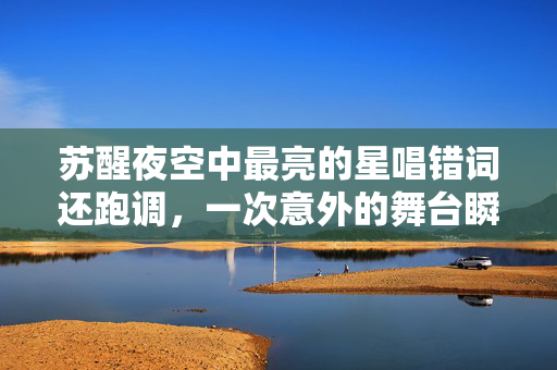 苏醒夜空中最亮的星唱错词还跑调，一次意外的舞台瞬间