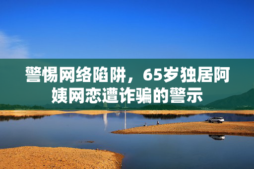 警惕网络陷阱，65岁独居阿姨网恋遭诈骗的警示