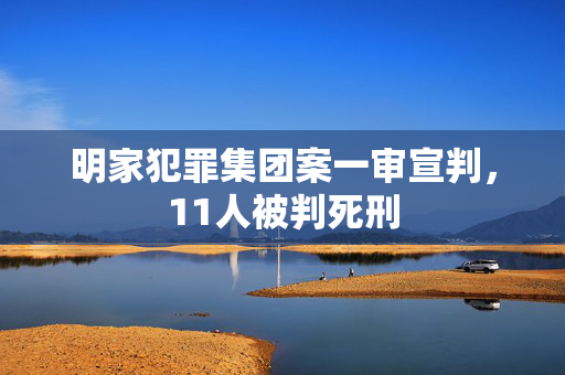 明家犯罪集团案一审宣判，11人被判死刑