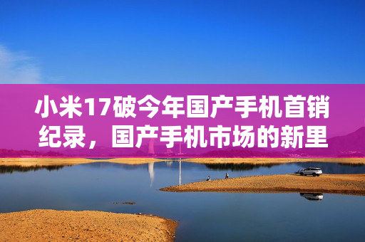 小米17破今年国产手机首销纪录，国产手机市场的新里程碑