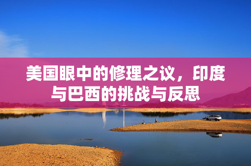美国眼中的修理之议，印度与巴西的挑战与反思