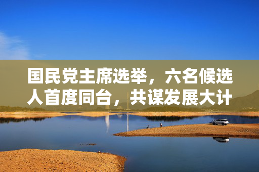 国民党主席选举，六名候选人首度同台，共谋发展大计