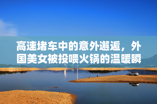高速堵车中的意外邂逅，外国美女被投喂火锅的温暖瞬间