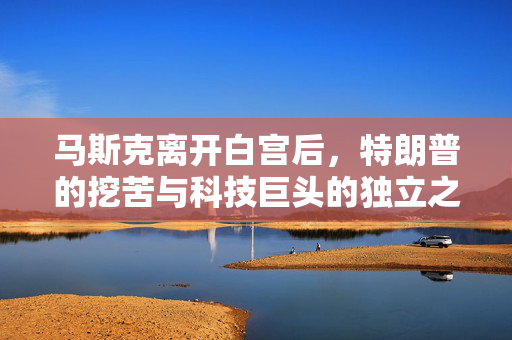 马斯克离开白宫后，特朗普的挖苦与科技巨头的独立之路