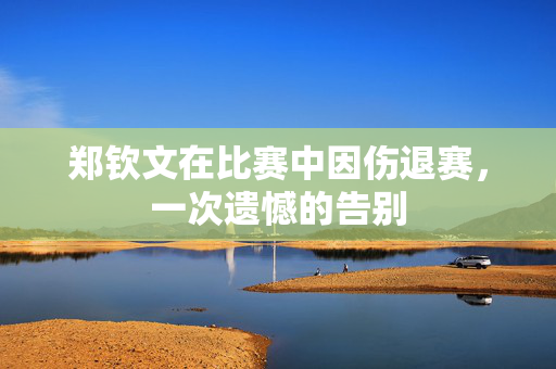 郑钦文在比赛中因伤退赛，一次遗憾的告别