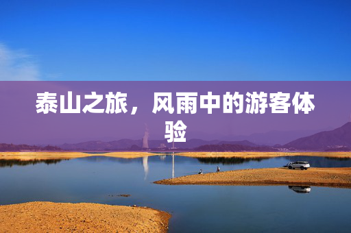 泰山之旅，风雨中的游客体验