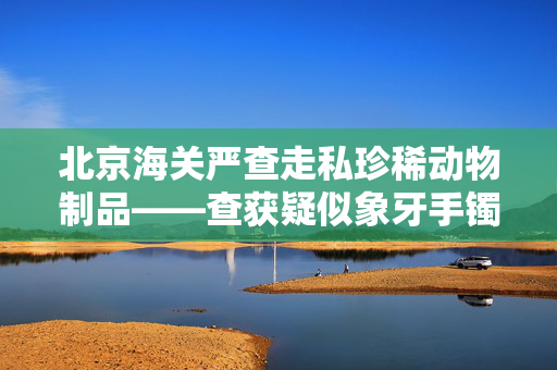 北京海关严查走私珍稀动物制品——查获疑似象牙手镯八件