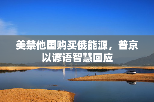 美禁他国购买俄能源，普京以谚语智慧回应