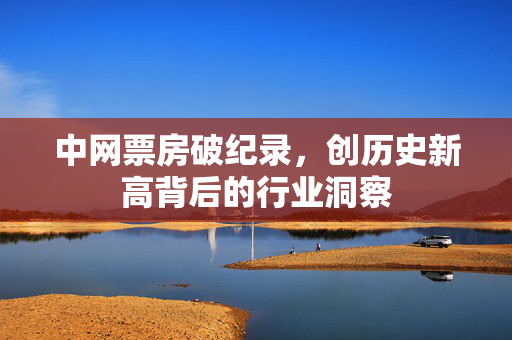 中网票房破纪录，创历史新高背后的行业洞察