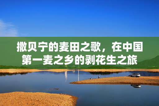 撒贝宁的麦田之歌，在中国第一麦之乡的剥花生之旅