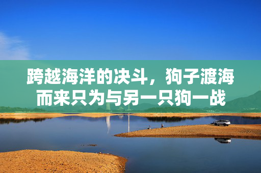 跨越海洋的决斗，狗子渡海而来只为与另一只狗一战