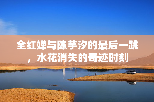 全红婵与陈芋汐的最后一跳，水花消失的奇迹时刻