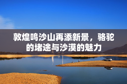 敦煌鸣沙山再添新景，骆驼的堵途与沙漠的魅力