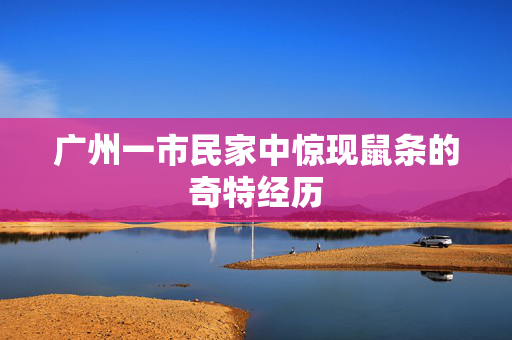 广州一市民家中惊现鼠条的奇特经历