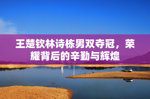 王楚钦林诗栋男双夺冠，荣耀背后的辛勤与辉煌