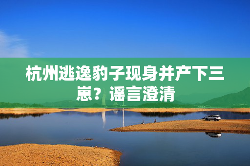 杭州逃逸豹子现身并产下三崽？谣言澄清
