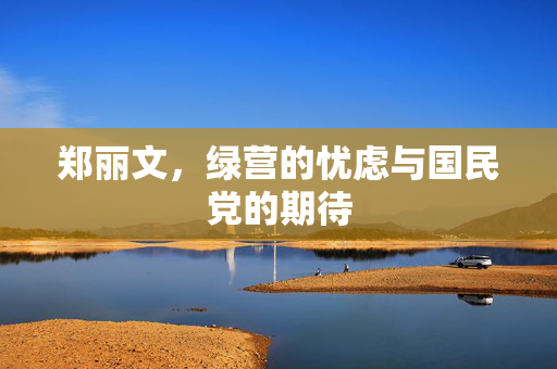 郑丽文，绿营的忧虑与国民党的期待