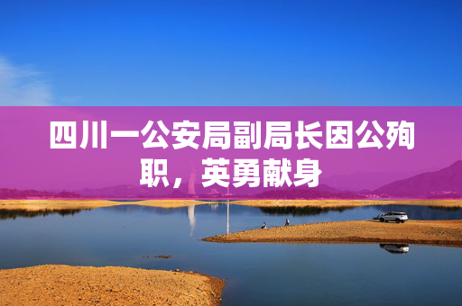 四川一公安局副局长因公殉职，英勇献身