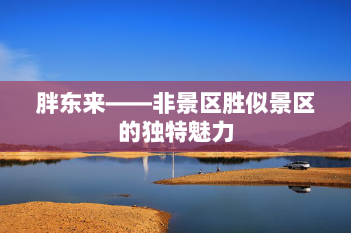 胖东来——非景区胜似景区的独特魅力