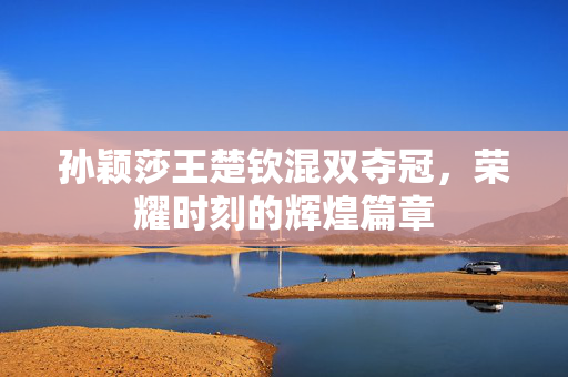 孙颖莎王楚钦混双夺冠，荣耀时刻的辉煌篇章