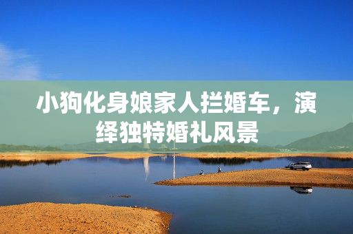 小狗化身娘家人拦婚车，演绎独特婚礼风景