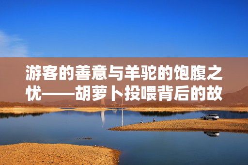 游客的善意与羊驼的饱腹之忧——胡萝卜投喂背后的故事