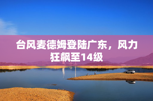 台风麦德姆登陆广东，风力狂飙至14级