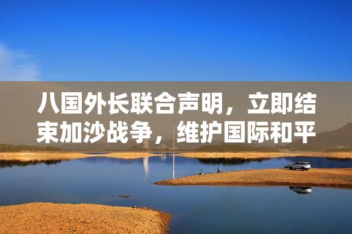 八国外长联合声明，立即结束加沙战争，维护国际和平与安全