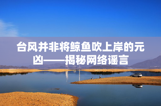 台风并非将鲸鱼吹上岸的元凶——揭秘网络谣言