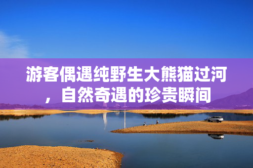 游客偶遇纯野生大熊猫过河，自然奇遇的珍贵瞬间