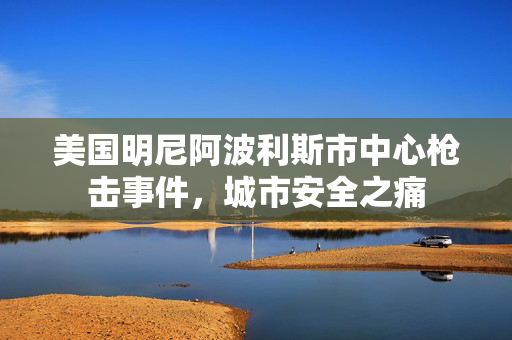 美国明尼阿波利斯市中心枪击事件，城市安全之痛