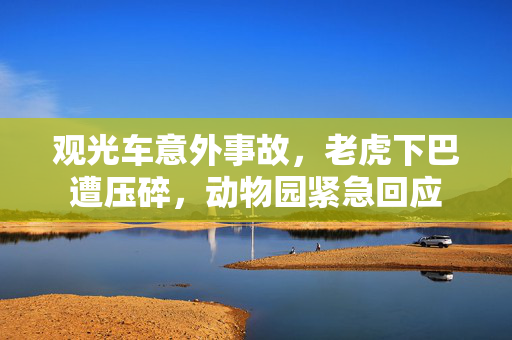 观光车意外事故，老虎下巴遭压碎，动物园紧急回应