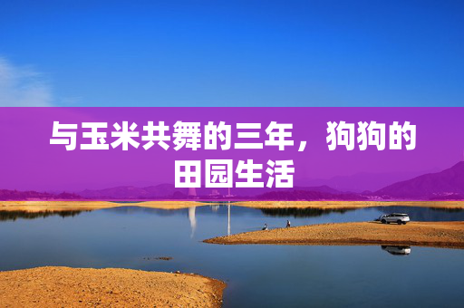 与玉米共舞的三年，狗狗的田园生活