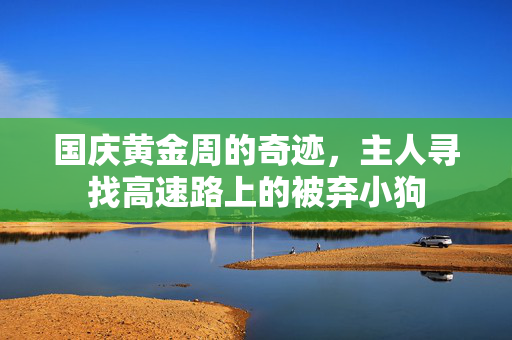 国庆黄金周的奇迹，主人寻找高速路上的被弃小狗