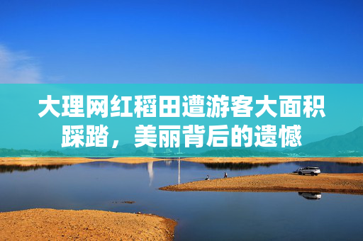 大理网红稻田遭游客大面积踩踏，美丽背后的遗憾