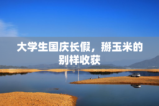 大学生国庆长假，掰玉米的别样收获