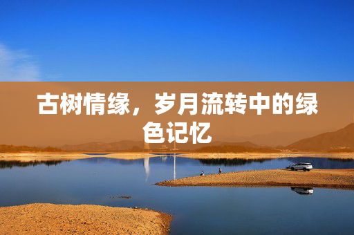 古树情缘，岁月流转中的绿色记忆